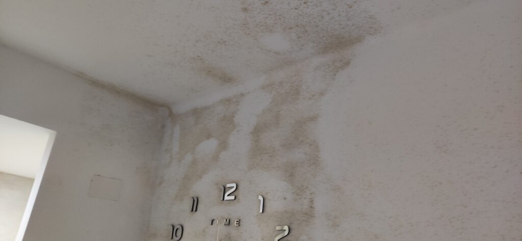 Pared con humedad por condensación en casa, mostrando moho y manchas de agua. Aprende cómo eliminar la humedad de la casa con un diagnóstico profesional
