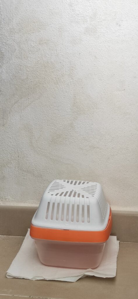 Deshumidificador portátil colocado en el suelo con manchas de humedad y moho en la pared. Problema de condensación en el hogar