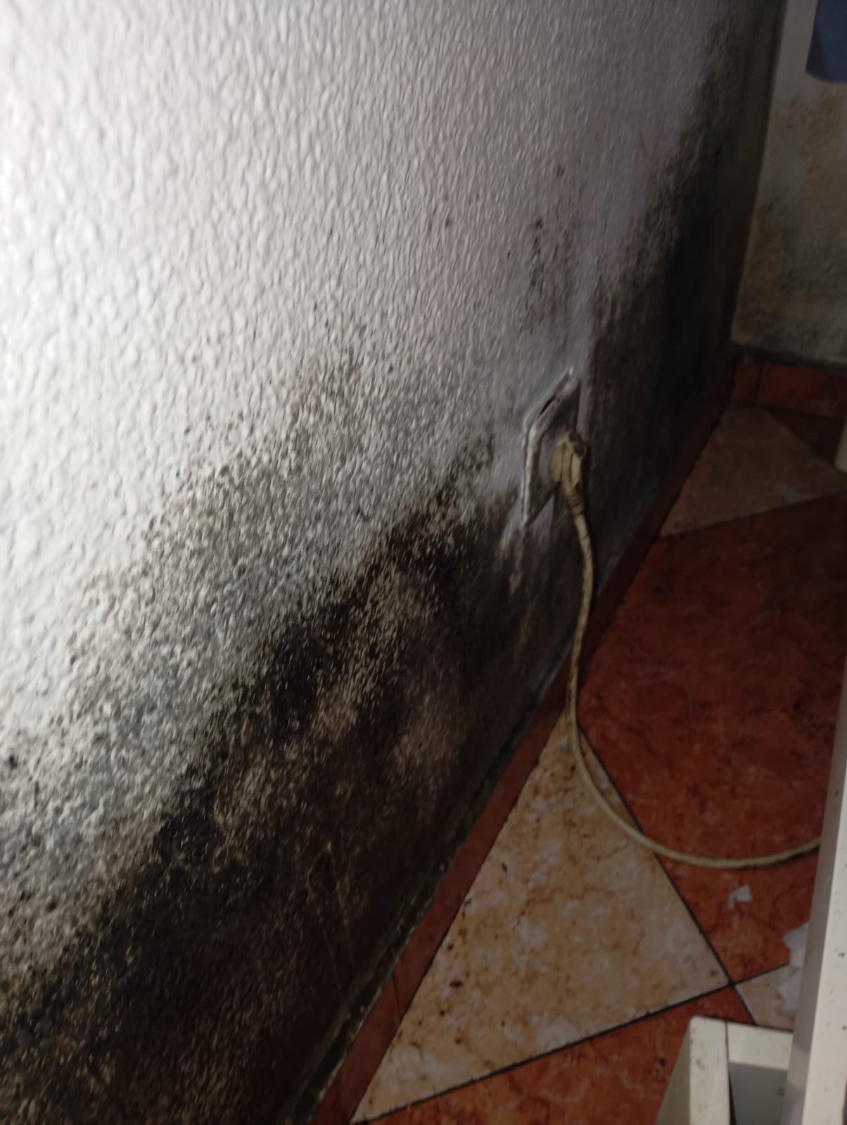 Pared interior con intensa presencia de moho negro en la parte baja, afectando la zona de un enchufe eléctrico y el suelo de baldosas.
