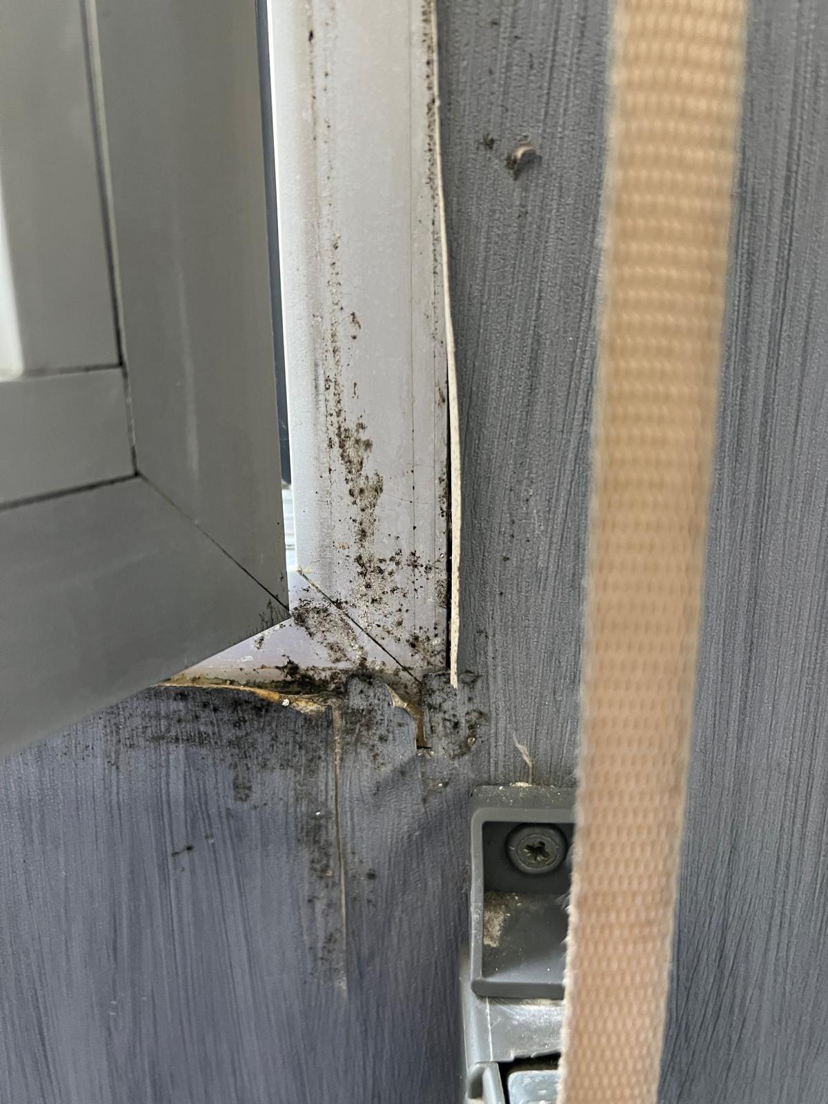 Esquina inferior de una ventana abierta con acumulación de moho negro en el marco y desconchones en la pared adyacente.