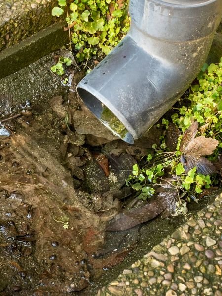 filtraciones en muros (1)