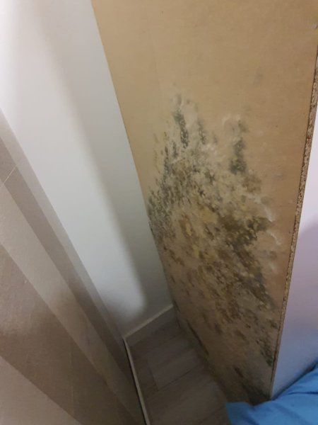 humedad-armarios-condensacion