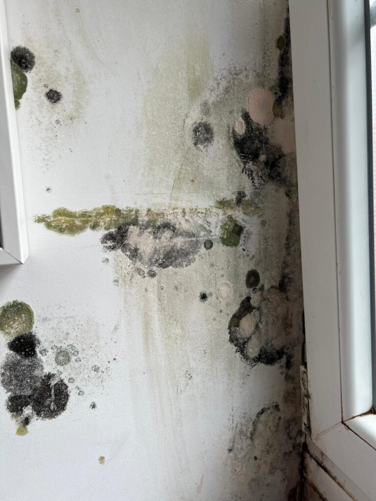 Pared interior afectada por moho negro y verdoso alrededor de una ventana. Se observan manchas de humedad, esporas oscuras y zonas de pintura deteriorada, indicativas de condensación persistente o filtraciones en el cerramiento
