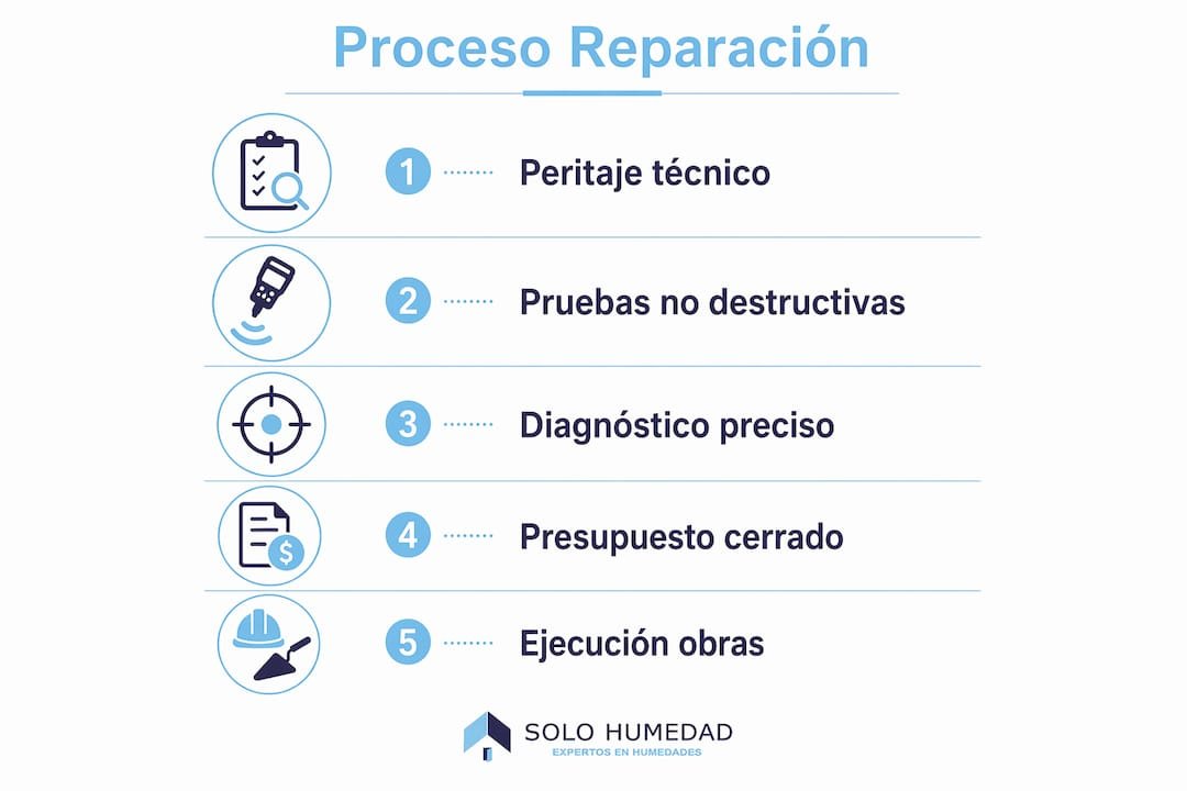 Infografía: guía completa para eliminar las humedades paso a paso