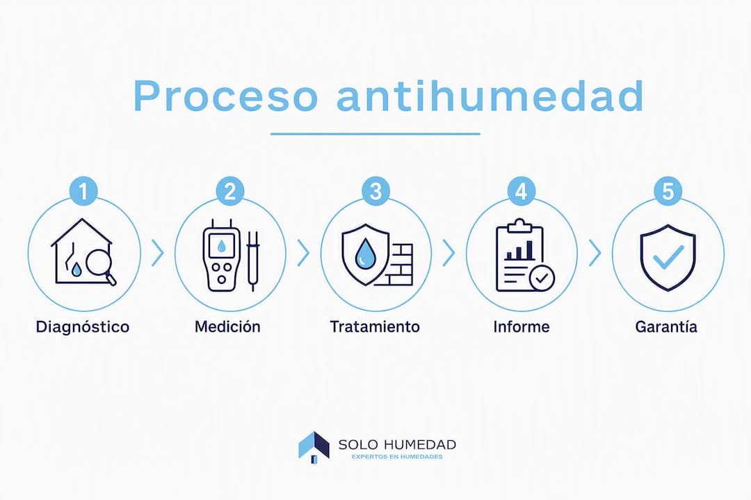 Infografía en formato vertical con los pasos clave para eliminar las humedades de manera profesional