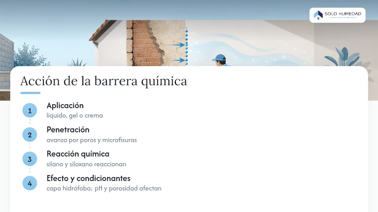 Diagrama del proceso químico de la barrera contra la humedad