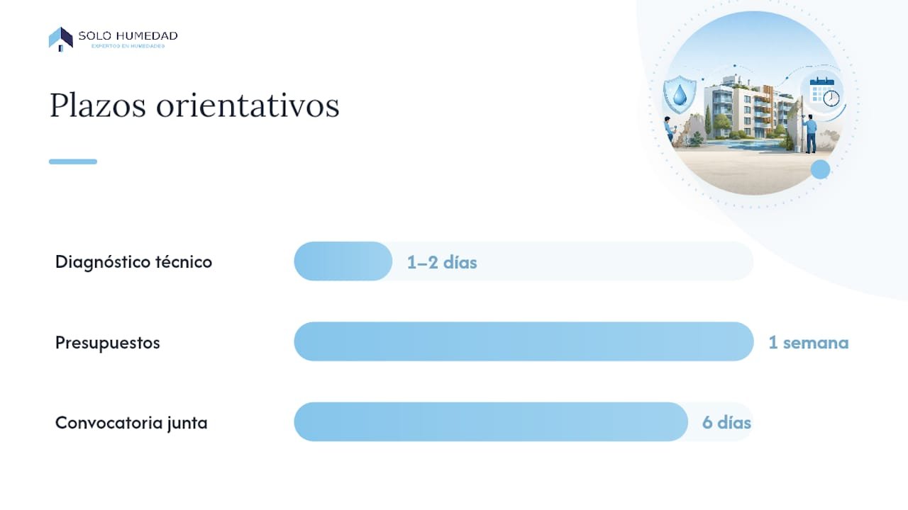 Pasos prácticos desde que aparece la humedad hasta que se ejecuta la reparación — overview diagram