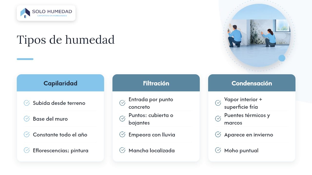 Tipos de humedades: capilaridad, filtración y condensación, y cómo reconocerlas — overview diagram