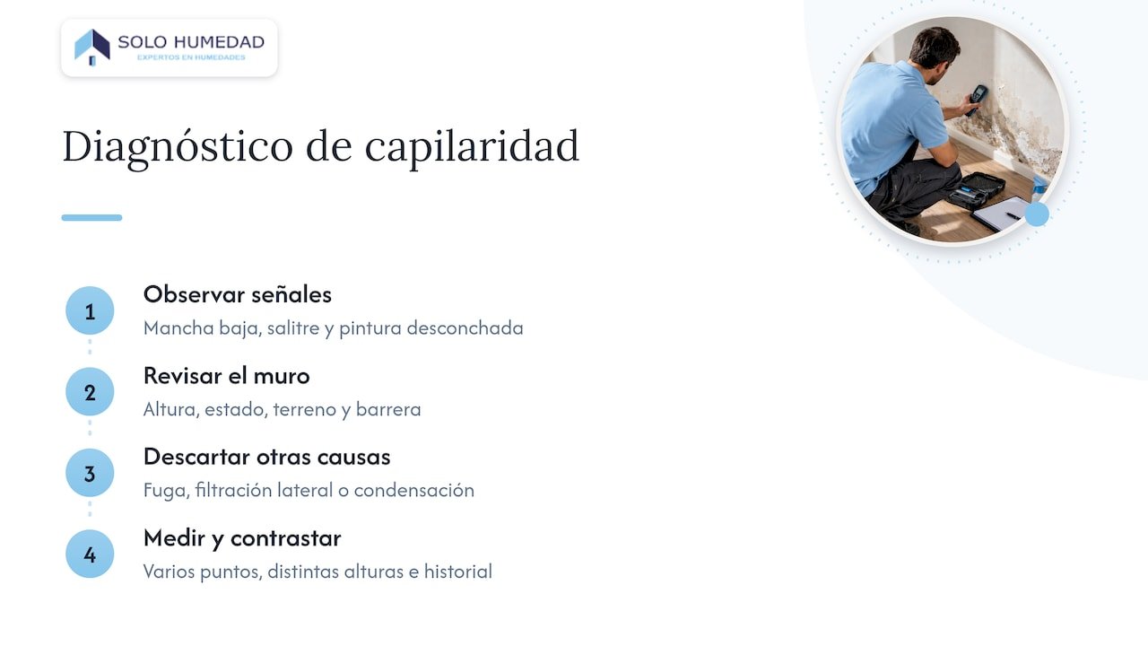 Cómo se diagnostica la capilaridad — overview diagram