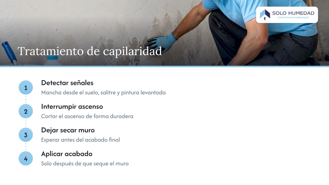 Capilaridad: cuando el agua sube por el muro — overview diagram